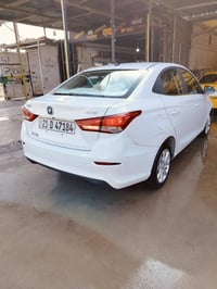 شانجان • ٢٠٢٥ • رقم سليمانية