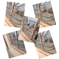 بلبل أليف • صغير • واتساب