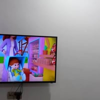 تلفزيون • حجم ٤٢