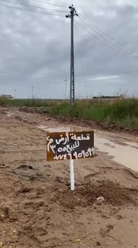 واسط الدبوني • ٣٥٥م • طابو سند