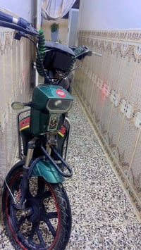 دراجة شحن • بريكات ناقصة • بطاريات جديدة