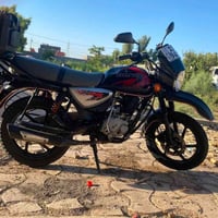 بوكسر • مرقم • ٢٠٢٢