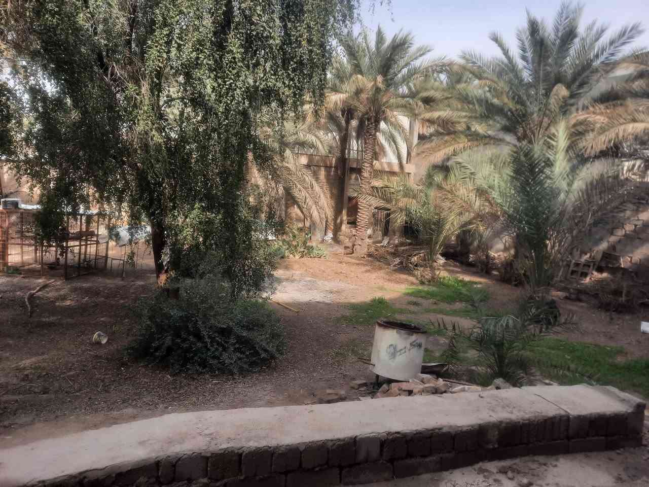 السلام عليكم للبيع بيت طابو زراعي سند 25تحويل بسم المشتري البيت طابقين مساحة البناء ٤٠٠متر المساحه الكليه 1500يحتوي على محلات وبيت ثاني متوفر بيه كافة الخدمات ماء واكهرباء والتبليط اباب البيت مكانه خلف جامعة بابل منطقة ابراهيم الخليل لاستفسار لاتصال على ***********
