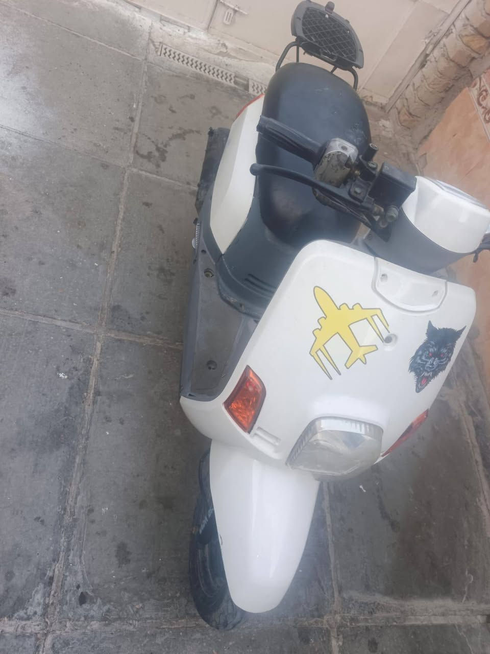 اسلام عليكم بوليس نوزل غسلتهه شغلته اشتغلت وطفت وبعد ما شتغلت ابيع هيج منفيس الأصلي موجود تأخذ من باب البيت بس تأخذ كوم حديد بل نسبه للدراجه اكفلك بس الشرعيات اما هيه تجي تحمل وتروح لتسلني اشبيهه كلشي ما اعرف بيهن وملتزم بشغل ما عندي مجال اوديهه ألله شاهد السعر ٣٠٠
المكان الحسينية مال راشديه 
مسقط يم مدرسة آمرلي‏‪***********‬‏
