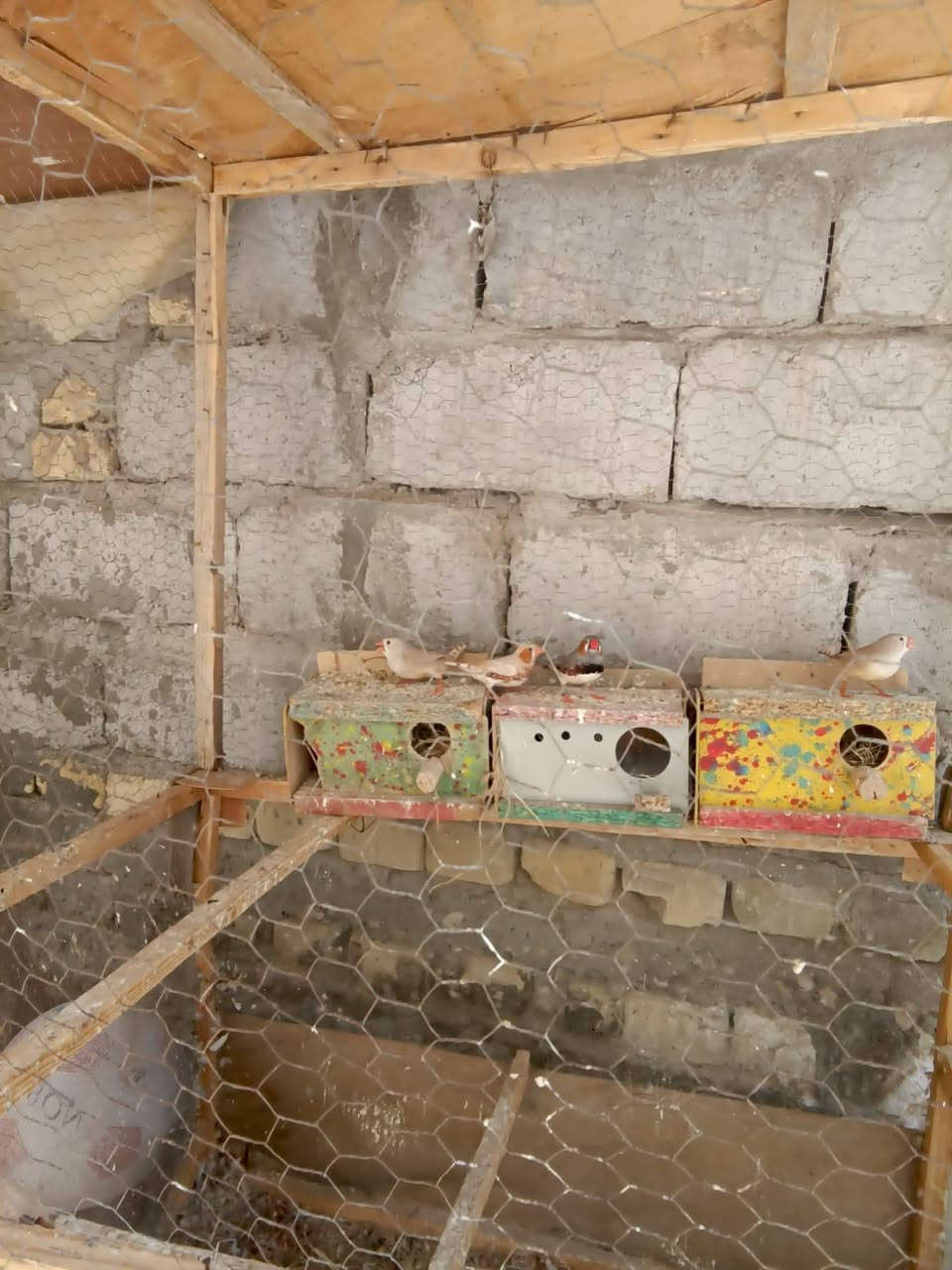 سوبر جامبو سعر خاص


**إذا كنت صاحب هذا الإعلان وتريد حذفه لأي سبب، رجاءا أرسل رسالة إلى الدعم الفني**