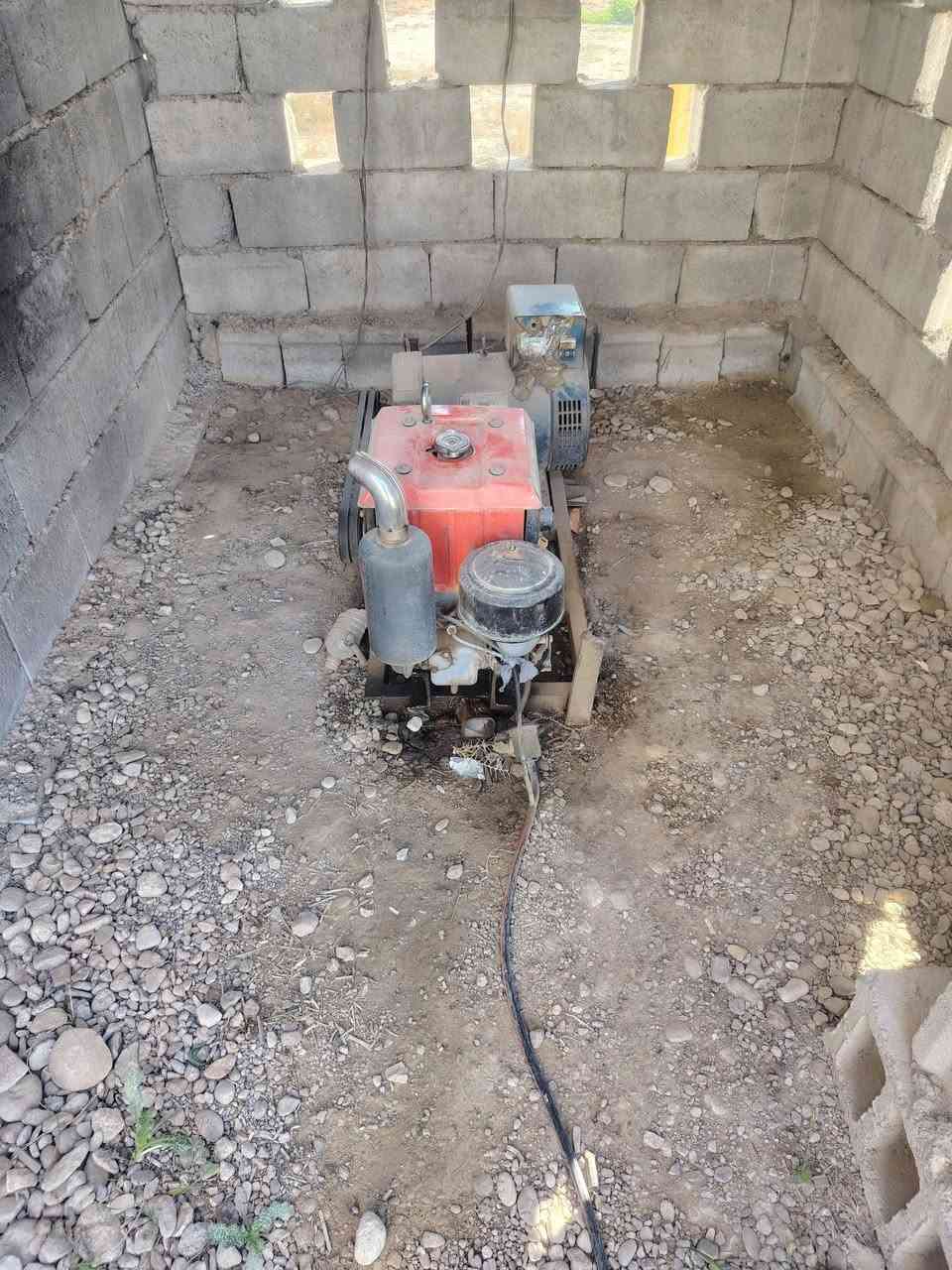 مولد فيتنامي 12/5  حصان للبيع مكفول كفاله عامه اخو الجديد للاستفسار أكثر تصال ***********
