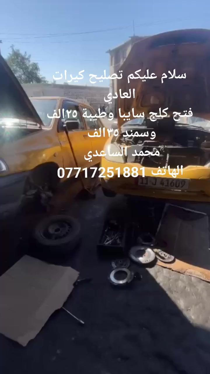 محمد الساعدي
