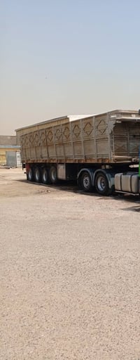 شاصي 16 • دناكير 14 صيني • طول 12/25