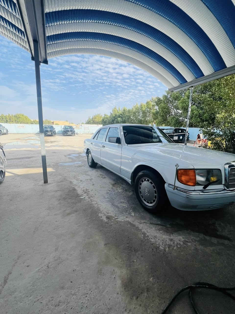 مارسيدس جامبو رئاسي✈️🚀
موديل 1987 رقم بغداد محرك محور ياباني فيشتين سياره حلوه وجاهزه مابيها ظربه 
حداديه حلوه 90‎%‎
ملاحضات فقط التبريد مو شغال سعرها 75 مكاني نجف ***********
