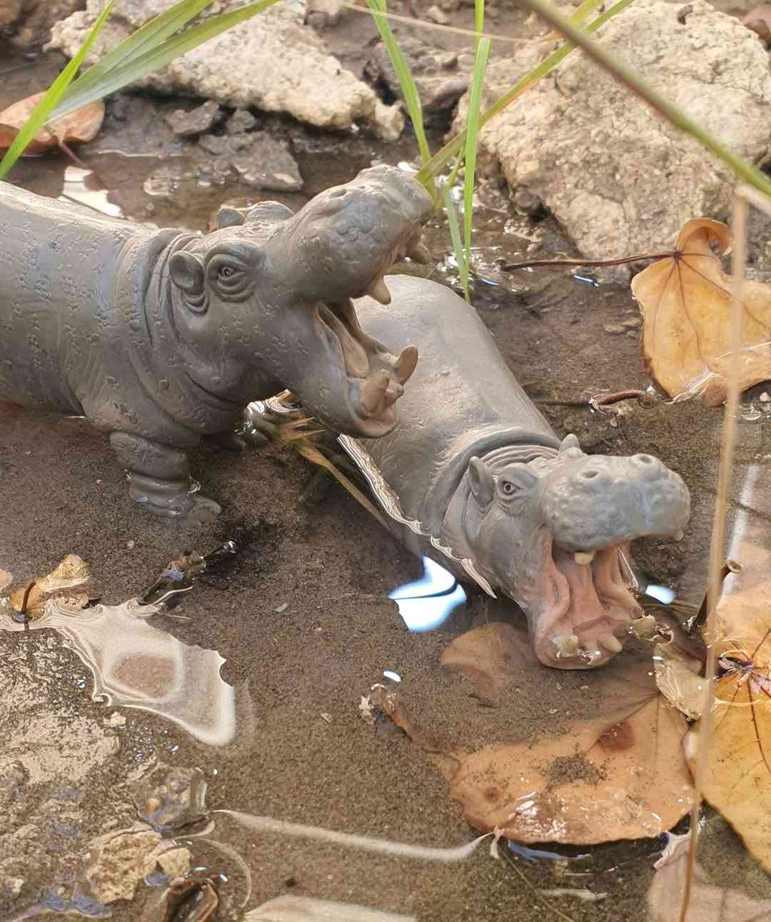 شلايش قديم 🌱🤍


**إذا كنت صاحب هذا الإعلان وتريد حذفه لأي سبب، رجاءا أرسل رسالة إلى الدعم الفني**