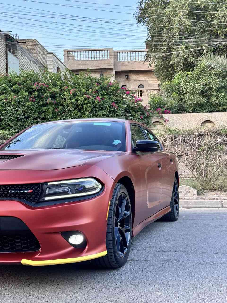 🫡السلام عليكم 🫡

جارجر GT 2021

خليجي شركة هارلم لون مميز مشمشي مغلفة بل كامل ppf مات ماشية 60 الف ميل السياره بيها بنيد صبغ + نص الجاملغ الخلفي صبغ بدون ايرباك او شاصي او داخل كله بشرط كير مكينة كفاله السياره جاهزه من كلشي 

✅المواصفات ✅

▪️سوبر تراك ▪️شاشة ▪️كاميرا  ▪️بصمه▪️شفتات ستيرن  ▪️سلايت  ▪️تدفئة  كشنات امامي 
 ▪️تدفئة ستيرن  ▪️لايت زنون▪️تشغيل عن بعد ▪️حساسات خلفية 

🔲العنوان / بغداد  

 السياره رقم دهوك سنوية وهزة جديد تحويل ثاني يوم 

📞للاستفسار 

***********
