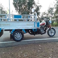 ستوته أم الطير ٢٠٢٠ • مكفولة • أوراق كاملة