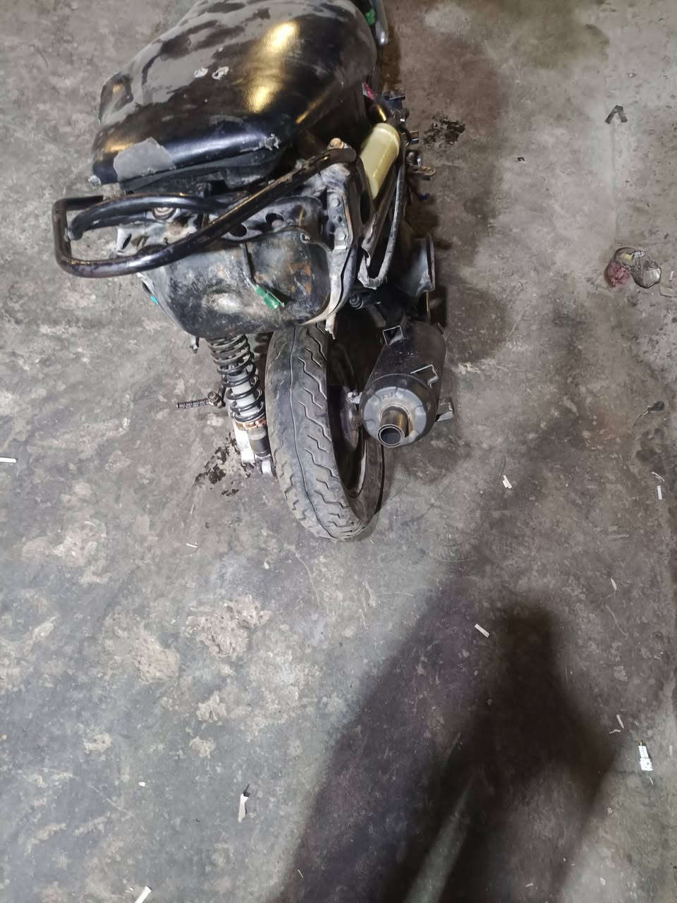 منغولي ماكس  بيه كور اربع والفات
جانت شغاله ابيع كوم حديد ب٢٠٠ بكاني بغداد شعله


**إذا كنت صاحب هذا الإعلان وتريد حذفه لأي سبب، رجاءا أرسل رسالة إلى الدعم الفني**