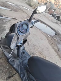 سكنس فحل • مدفوع كمرك • معدل