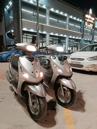 ماكس منغولي • سلفري • مكفولة