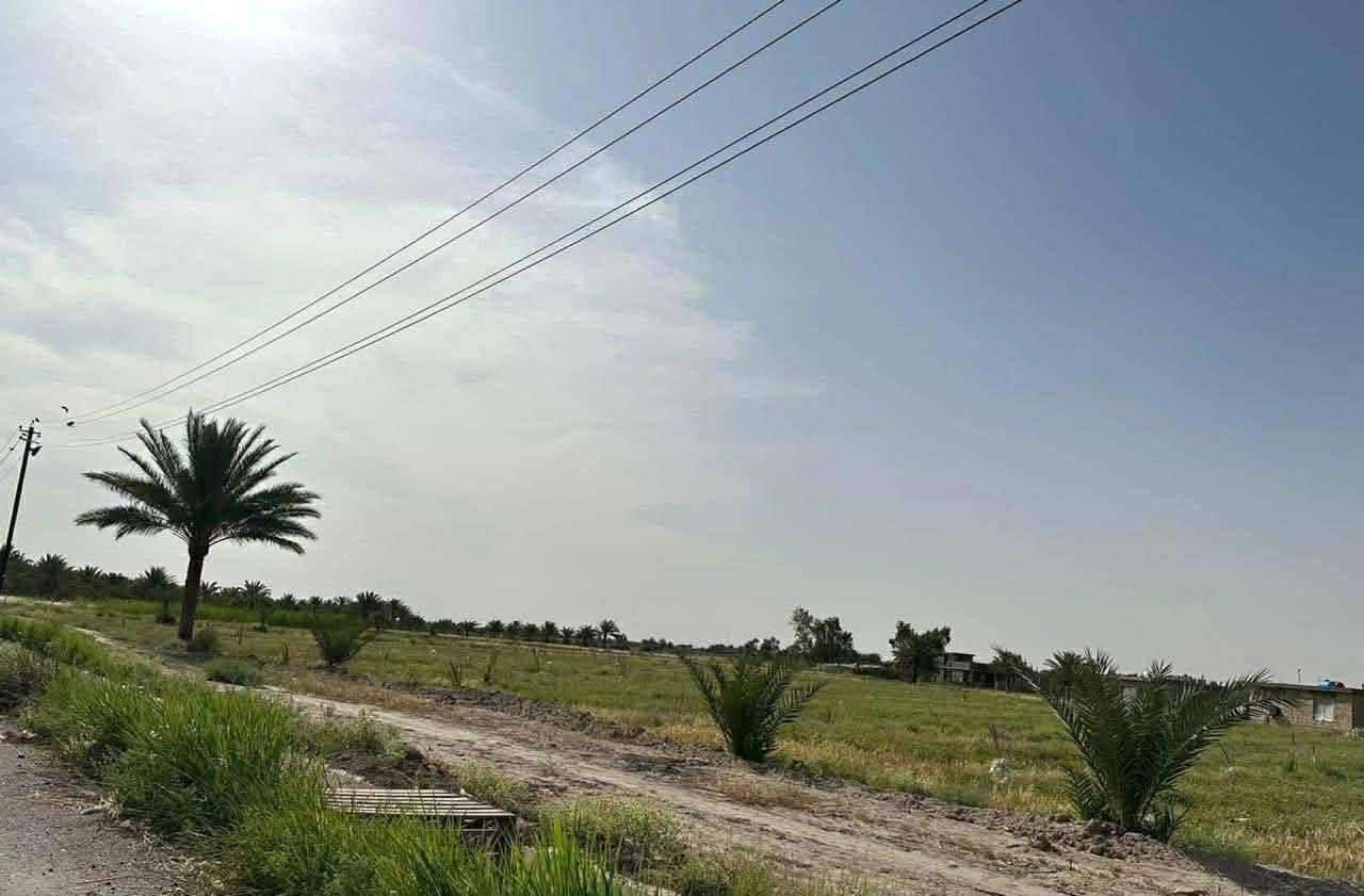 السلام عليكم

تتوفر عدنا دوانم  تصلح للاستثمار او المزارع  بمساحات متعدده وواجهات وابعاد مختلفة

موجوده كهرباء وماء اساله وخدمات كامله سكن ومدارس كلشي موجود منطقة كامله والاسعار تختلف من 25 مليون الى 65 مليون حسب موقع الارض 

مكان الاراضي في التاجي ذراع دجله 
للتواصل والاستفسار على الرقم التالي ***********
