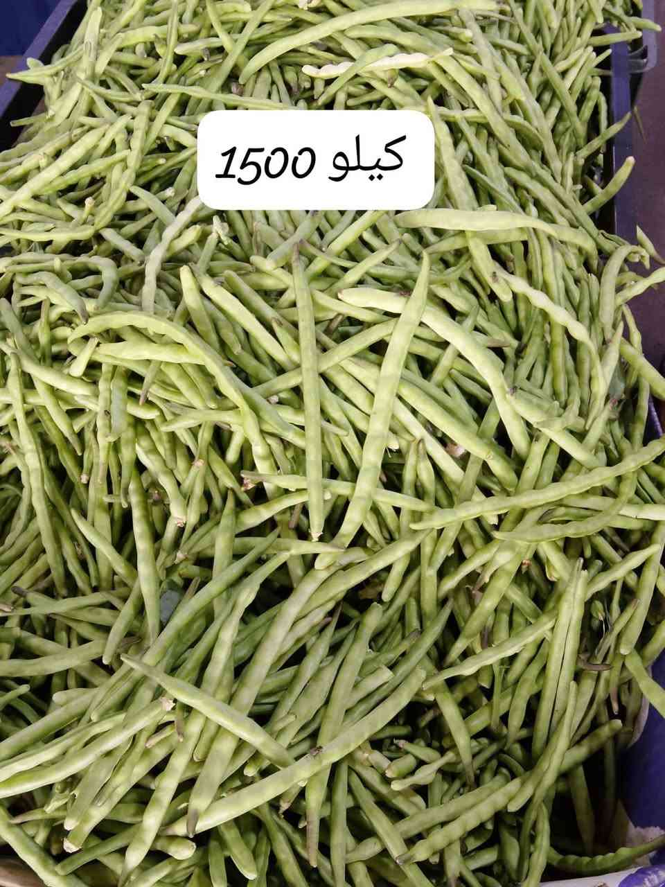 العروضات نار 🔥 اليوم داخل  علوه رانيه الشارع العام مقابل القوس مجاور كوالدن هوم السعار حلوه وخيصه
طماطه الكيلو ب250🍅🍅🍅
خوخ 🍑 بكافة انوعه 1500🍑🍑
تفاح عراقي 1000🍎🍎
برتقال 1000
بطيخ 500
ركي 4كيلوت ب1500
الؤ فوال 2000
تفاح احمر فوال 1500
مشمش ايرني 1500
مشمش 🍯 3000
موز 1500🍌🍌
ليمون 🍋 3000
لالنكي أفرقي 2000
بطاطه 750🥔🥔🥔🥔
خيار 1000🥒🥒
خيار وسط 500
اسود معلق 750
اسود أرضي 500
بصل كافة انوعه 750
جزر 1000
شونذر 1000
كيلو بامية 2000
لوبيه 1500
بطيخ 🍉 500
جميع انواع الفوكه والخضار رخيصه وتازه حياكم الله والف هله بيكم علوه رانيه ترحب بيكم تعليق ولايك من اديكم الحلوه ساعدنه علا نجاج

 علوة رانيه 
العروضات نار 🔥 اليوم داخل  علوه رانيه الشارع العام مقابل القوس مجاور كوالدن هوم السعار حلوه وخيصه
علوه رانيه


**إذا كنت صاحب هذا الإعلان وتريد حذفه لأي سبب، رجاءا أرسل رسالة إلى الدعم الفني**