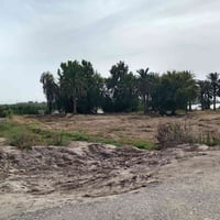 المزبانية • ١٠دوانم • عقد ١١٧