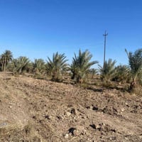 اليوسفية/بير الحمام • ٥ دونم • سند ٢٥