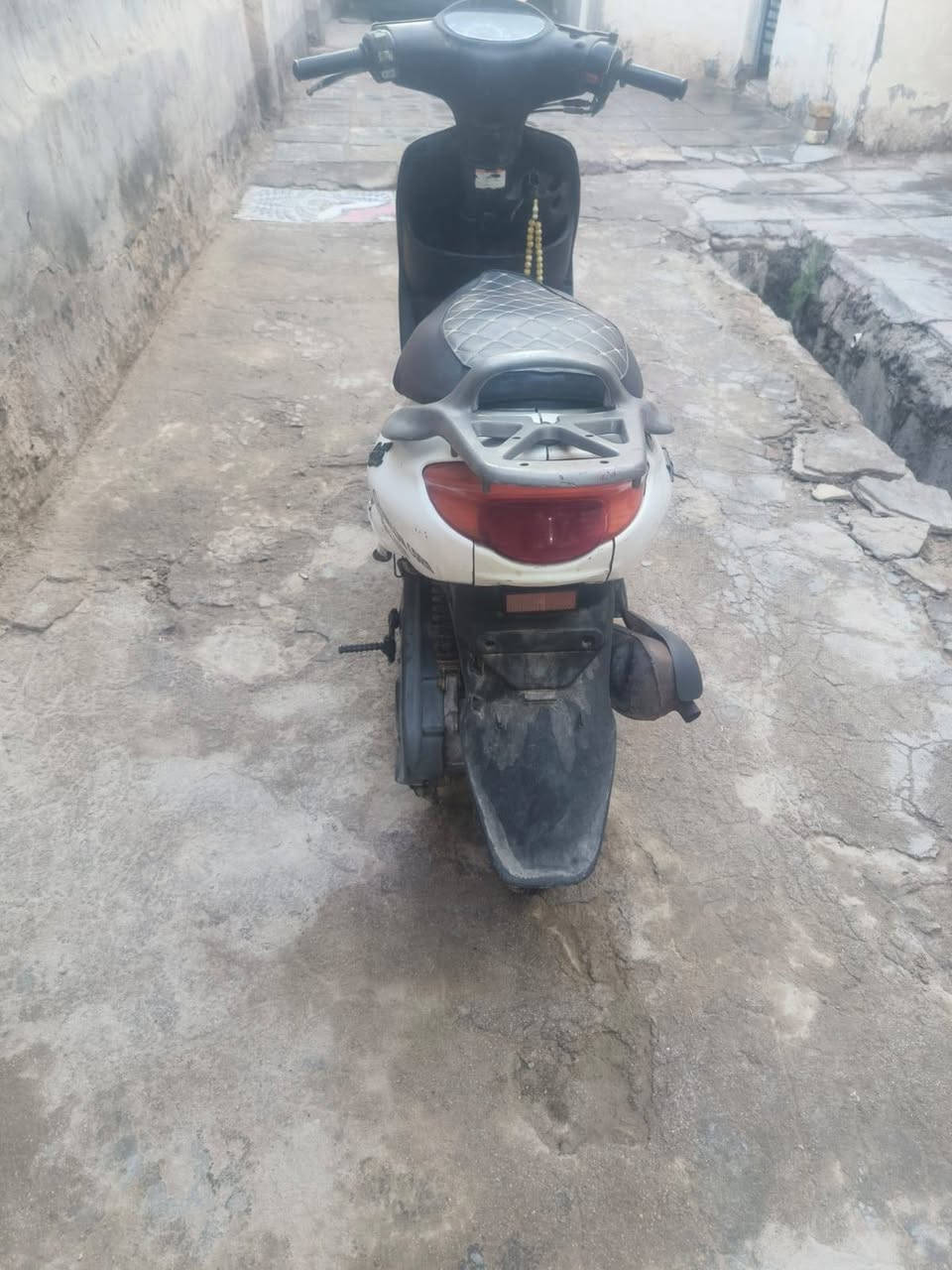 دولفين فحل ياباني كهربايات شغاله سلف نعومه معدل نضافه شوفت العين ٣٠٠ بيهه مجال


**إذا كنت صاحب هذا الإعلان وتريد حذفه لأي سبب، رجاءا أرسل رسالة إلى الدعم الفني**