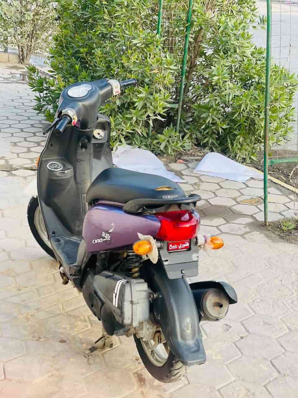 السلام عليكم دراجه فله الدراجه صارله شهر نازله من الرمبه نضيفه نكره الدراجه للتواصل***********
