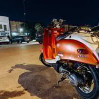 مصريه فحل مفتوحه للبيع او المراوس السعر 200 للاستفسار 07835917831