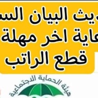 تحديث البيان السنوي • رعاية اجتماعية • بابل المسيب