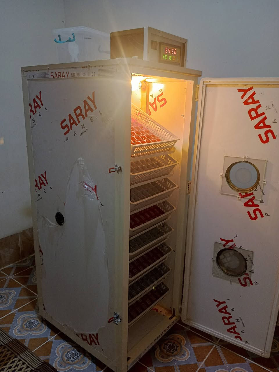 ***********
للبيع مفاقس عدد1+حاضنة  700 بيضة سعر 390الف فول اوتوماتيك مبخرة خارجية نضام دبل هيتر نضام جيموكة حاضنة 400فرخ مفرقات حساسات حرارة سعر 95 المفقس انتاج معمل (سيد حسين النحال كركوك) نسبة تفقيس 85٪شرط التفقيس والفحص المكان كركوك روناكي غير متاح في الخاص الاتصال علا الرقم فقط
