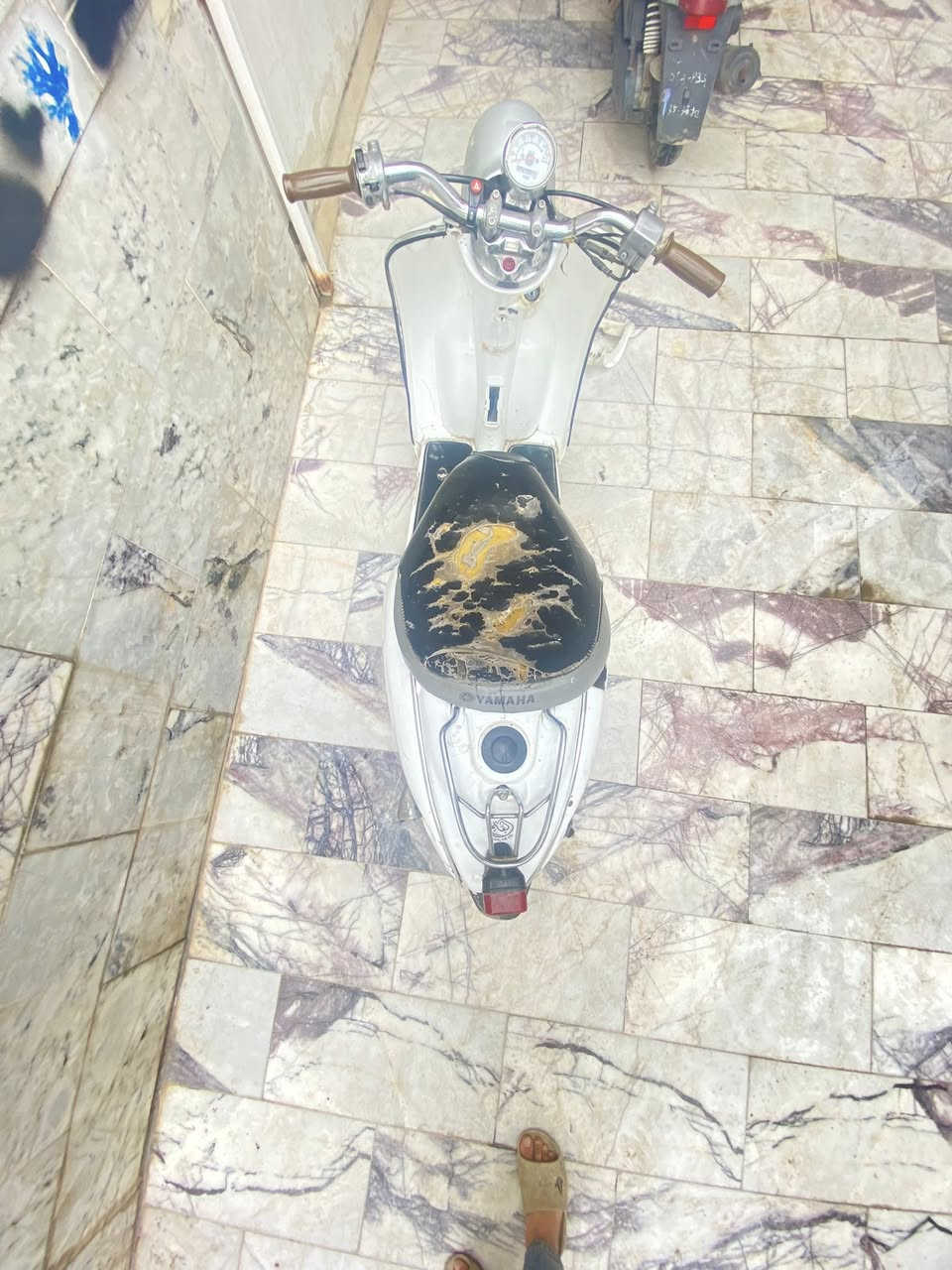 سلام عليكم مصرية للبيع الدراجه تجفيت جديد الدراجه نضيفه ومشيهه حلو و كفرها الأمامي موجود وكهربائيات بس تربط الوايرات وبيهه رباعيهه همين سعرها 175 وبيها مجال للشراي


**إذا كنت صاحب هذا الإعلان وتريد حذفه لأي سبب، رجاءا أرسل رسالة إلى الدعم الفني**