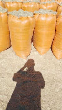يوجد لدينا تبن البيع الحجم الكبير  الطول 126 العرض 95  سعر الزوج 7،500...
