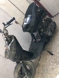 فراشة • ٢٢٥ • نجف