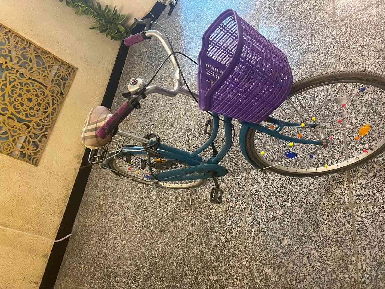 للبيع حجم ٢٦ مصبوغ للجمالية بدون زنجار السعر ٧٥ مكاني المعقل


**إذا كنت صاحب هذا الإعلان وتريد حذفه لأي سبب، رجاءا أرسل رسالة إلى الدعم الفني**