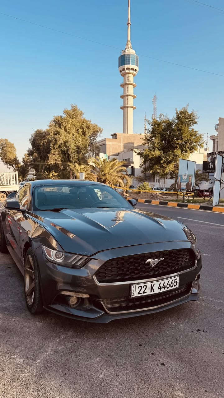 Ford Mustang 2017
🔹 6 سلندر
🔹 محرك، كير، شواصي، ولغود بشرط
🔹 حادث جانبي سابق (باب + جامَلغ مصبوغات)
🔹 شبر بخشم الجامَلغ
🔹 البنيد طخة خفيفة

🔹 ويلز Vossen VC3 (سعرهن 400$)
🔹 سقف ستايل رولز رويس
🔹 ستيرن 3 وضعيات
🔹ادامه وتايرات  جديده
🔹باقي مواصفات ال 6 معروفه 
🔹ماشيه 95 ميل
🔹سبايدر مال شيلبي 
🔹مثبت سرعه كلشي شغال بيها

🔹 السيارة نظيفة كلش
🔹 بيها نقوصات جمالية بسيطة جداً ك جماليه
🔹 رقم أربيل مميز: 44665
 💵 السعر 142 وبي ماجل بسيط
تواصل خاص
⸻


**إذا كنت صاحب هذا الإعلان وتريد حذفه لأي سبب، رجاءا أرسل رسالة إلى الدعم الفني**