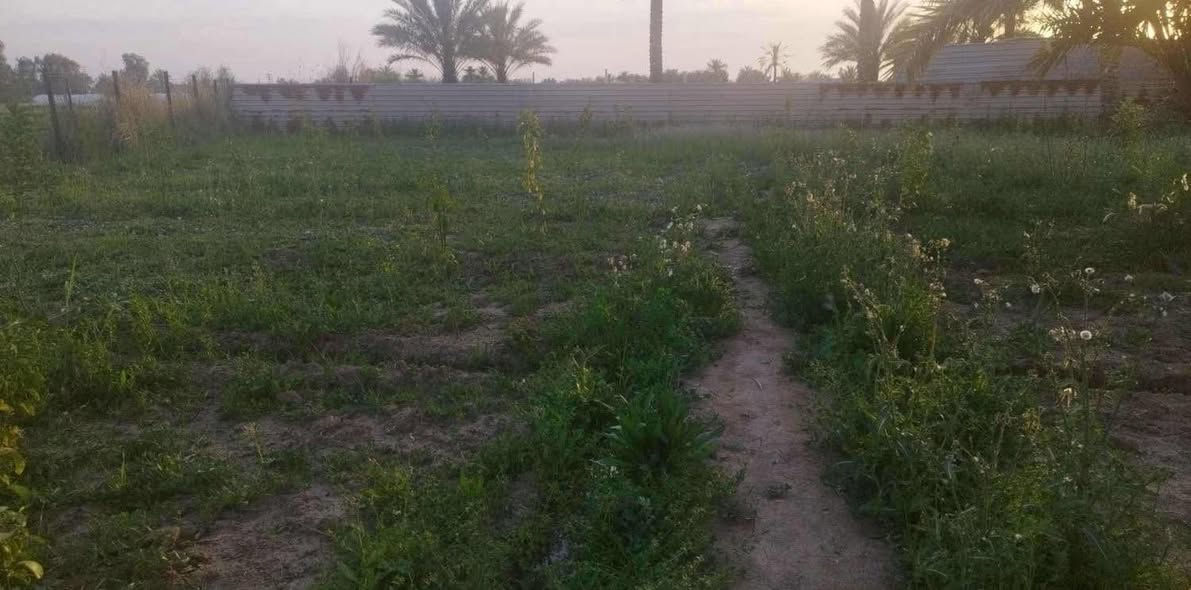 قطعة ارض للبيع طابو سند ٢٥ بأسمي المساحة ٧٨٠م
الوجه ٢٠ والنزال ٣٩
واصل كهرباء وماء وتبليط العنوان المدائن المشروع قرب جامع سيد احمد الرفاعي
للاستفسار اكثر الاتصال على
***********
