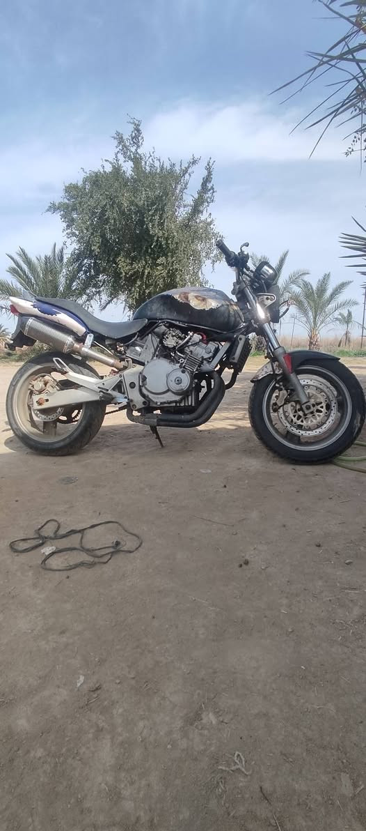 بيع او مروس
هوندا هورنت
مكينه جيس
تواير جيس
ضفيره بلاد
عقل مبرمج
وراق اصولي
فقط نقصها كابريترات
وصيغ لتاتكي تانكيها من جوه كزازه اي زنجار ماكو
كهربائيات كلشي شغاله
ناصريه
***********
