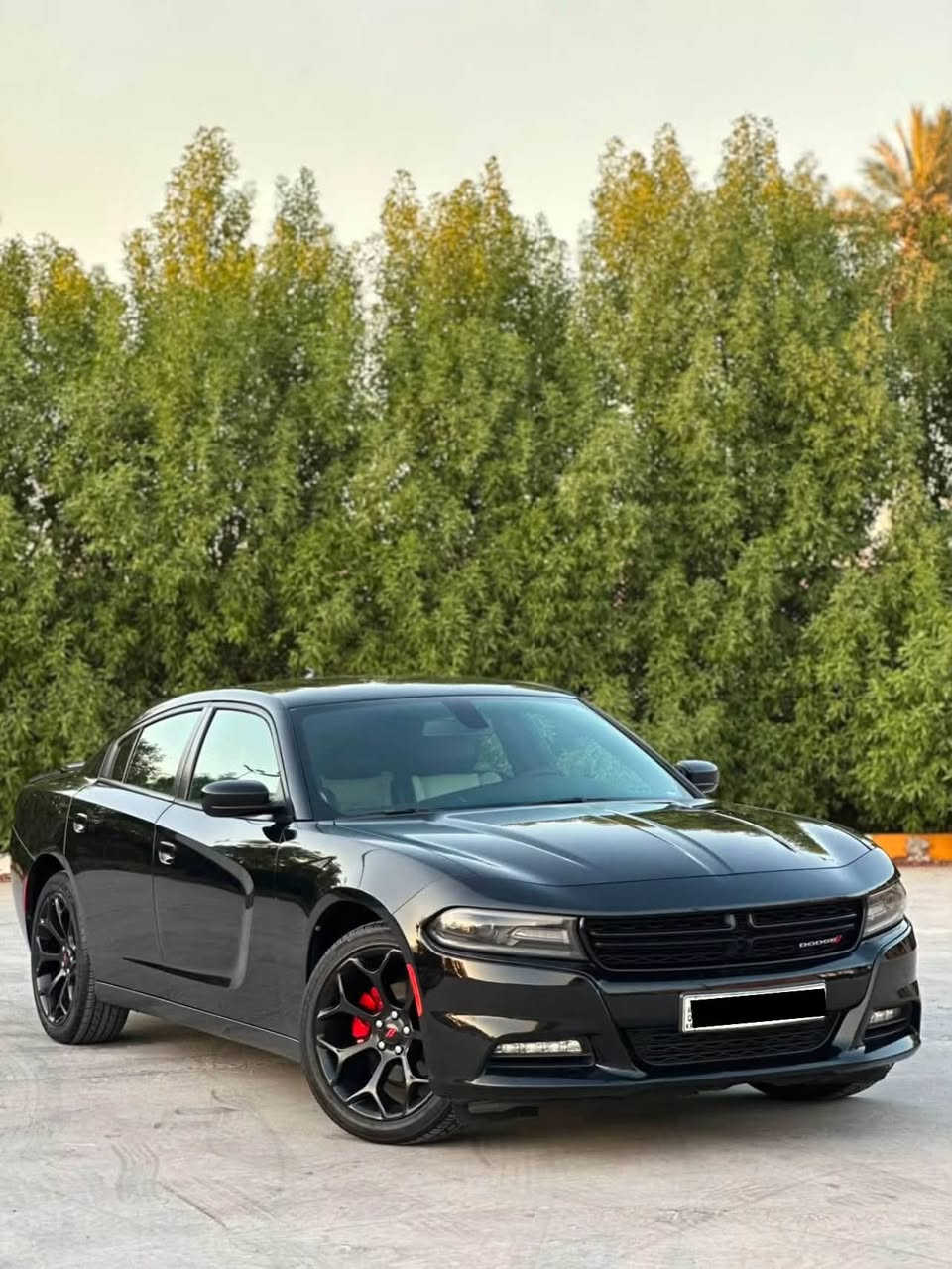 السلام عليكم
جارجر 2018 SXT بلاس فول مواصفات عدا السلايت كلين تايتل السياره حيل جديدة وحلوه بدون صبغ حتى دعاميات بدون صبغ بيها تعديل بارد واحد صغير وميبين اصلا 

العداد / 85000 مايل 

محرك / V6 3600

✅مواصفات 

شاشة 

بصمة 

مقاعد تدفئة تبريد 

مقاعد خلفي تدفئة

مقاعد جلد 

مقاعد  خرن

حساس خلفي 

لايت led 

تشغيل عن بعد 

تحكمات ستيرن 

ستيرن تدفئه 

لايت زنون اصلي 

وباقي مواصفات ال SXT بلاس المعروفه سياره دينار متصرف عليها جاهزة من كل نواحي 

رقم دهوك تحويل ثاني يوم 

مكان سياره بغداد

السعر 215 وبيها مجال 

للاتصال 

***********
