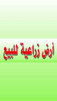 مكلف بالنشر فرصه استثماريه  للجادين  أرض زراعيه للبيع  بسعر مناسب  الأ...