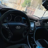 وارد أمريكي • ٢٠١٣ • قطعتين صبغ