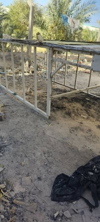 محجرات للبيع • شارع كربلاء نجف • عامود 114