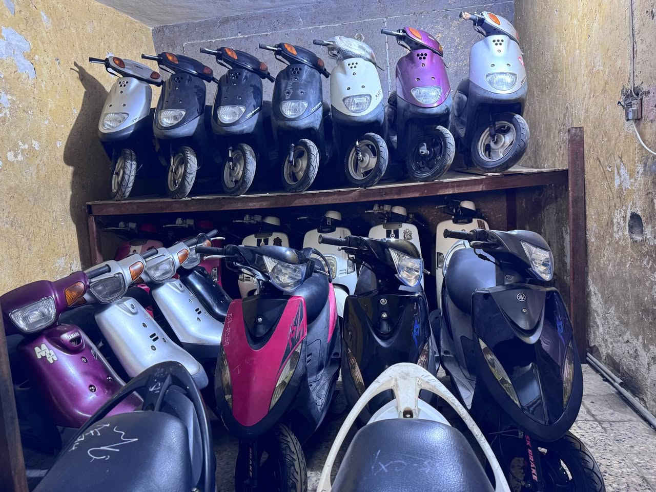 ❤️‏﷽ 💚

(يَا أَيُّهَا النَّاسُ اذْكُرُوا نِعْمَتَ اللَّـهِ عَلَيْكُمْ هَلْ مِنْ خَالِقٍ غَيْرُ اللَّـهِ يَرْزُقُكُم مِّنَ السَّمَاءِ وَالْأَرْضِ لَا إِلَـهَ إِلَّا هُوَ فَأَنَّى تُؤْفَكُونَ).

 

💙زبائننا الكرام🙋‍♂️ :

📢يعلن مجمع المؤمل عن وصول درجات حاويه جديده نوع  اكزز منغولي  بتره قفل اكسن بيجي مصري عصفوري

تاريخ2025/12/30

عنون/ناصريه قرب حمام الحيدري مقابل باب صفاة الطيور

الاتصال/***********

       

بادرة /احمد الحسيناوي عمان, محافظة عمان
