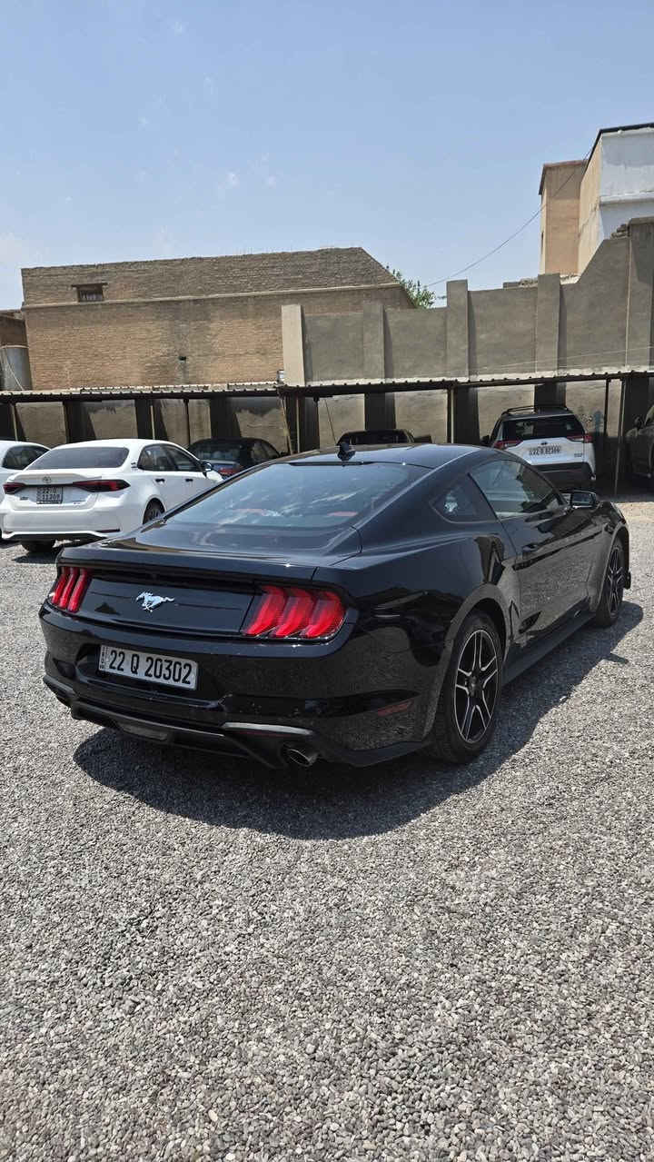 فورد موستانك
موديل ٢٠٢٣
٤ سلندر ٢.٣
ماشي ٢٢ الف فقط
٢ قطع صبغ 
بونيت و جملغ
شاصي سليم
ارباك سستم
عنوان اربيل
*********** أربيل, العراق
