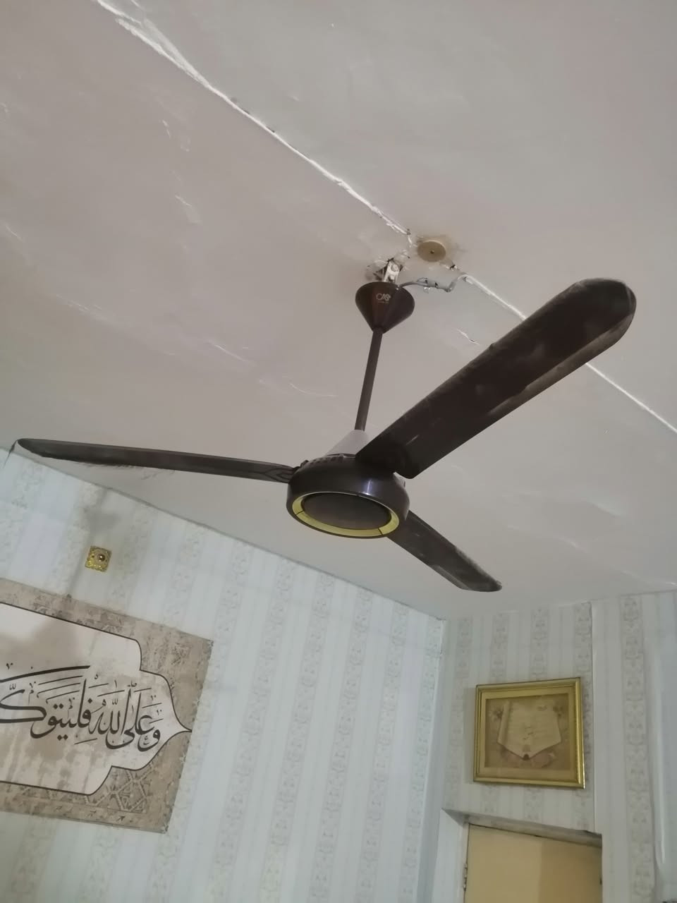 مراوح سقفيه نضافه 100% استخدام جدا قليل سعر الوحده 20 قفل العنوان الزبير


**إذا كنت صاحب هذا الإعلان وتريد حذفه لأي سبب، رجاءا أرسل رسالة إلى الدعم الفني**