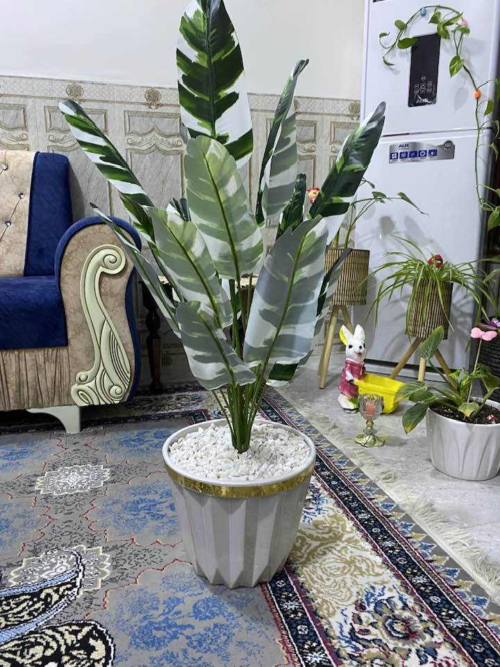 اشجار صناعيه يتوفر خدمه توصيل 🚚


**إذا كنت صاحب هذا الإعلان وتريد حذفه لأي سبب، رجاءا أرسل رسالة إلى الدعم الفني**