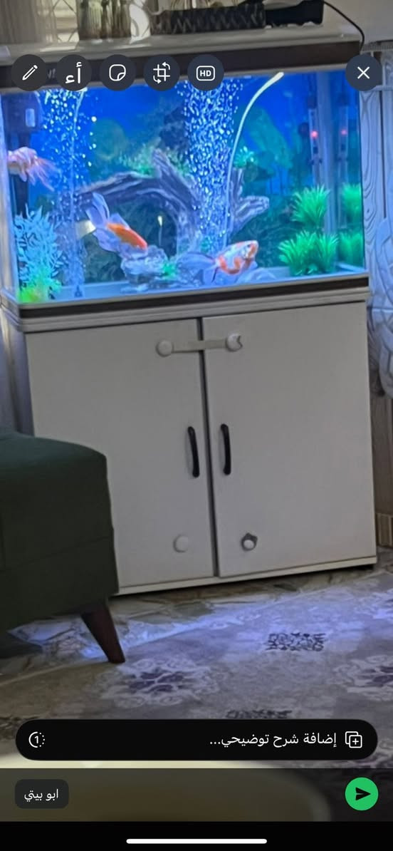 ‏حوض مال السمك مرجوحة للبيع سعر 200لف ‏مكان حي اور ***********￼￼
