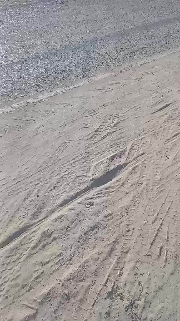 سلام عليكم قطعة راض لبيع مساحة 185متر  طابو زراعي سند 25  العنوان شارع علي بن الحسين  قاعة حديد اي ستفسار اتصال على رقم ***********
