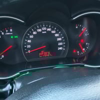 ٢٠١٣ • ٧ راكب • ضربه وصبغ