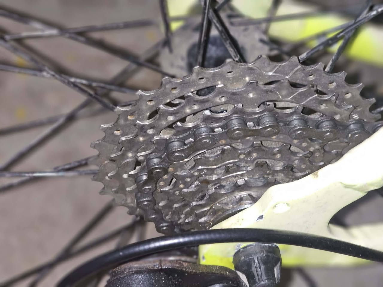 السلام عليكم
بايسكل c700 lespo

المنيوم بالكامل

فريم M 51cm

عقرب Shimano tourney tx مختوم Japan 

دشلي HR مختوم اندونسيا 8نمر

ويل خلفي برجستون المنيوم طبقتين كمبليون

ويل امامي المنيوم طبقتين كمبليون

صينية أمامية 48t

بريكات promax

لا يوجد توصيل 

موقع كوت حي الجهاد

السعر 140وبي مجال أو امراوس برود سستم كلارس أو سورا واطي فرق
التواصل خاص


**إذا كنت صاحب هذا الإعلان وتريد حذفه لأي سبب، رجاءا أرسل رسالة إلى الدعم الفني**