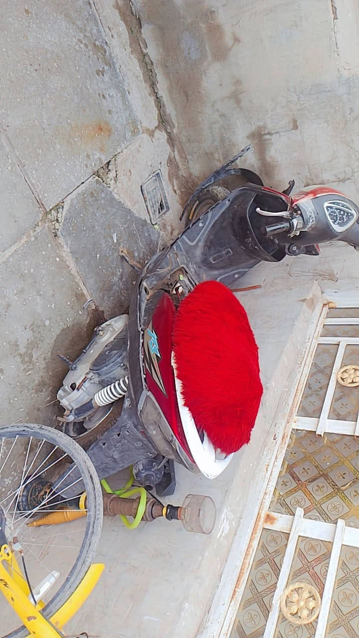 شباب دراجه للبيع بدون أوراق نقصهه سلف وملف غراضهه لباقيه كامله مكاني الحسينية 
سعر 250قفل***********بس واتساب  ومازنجر موجود..
