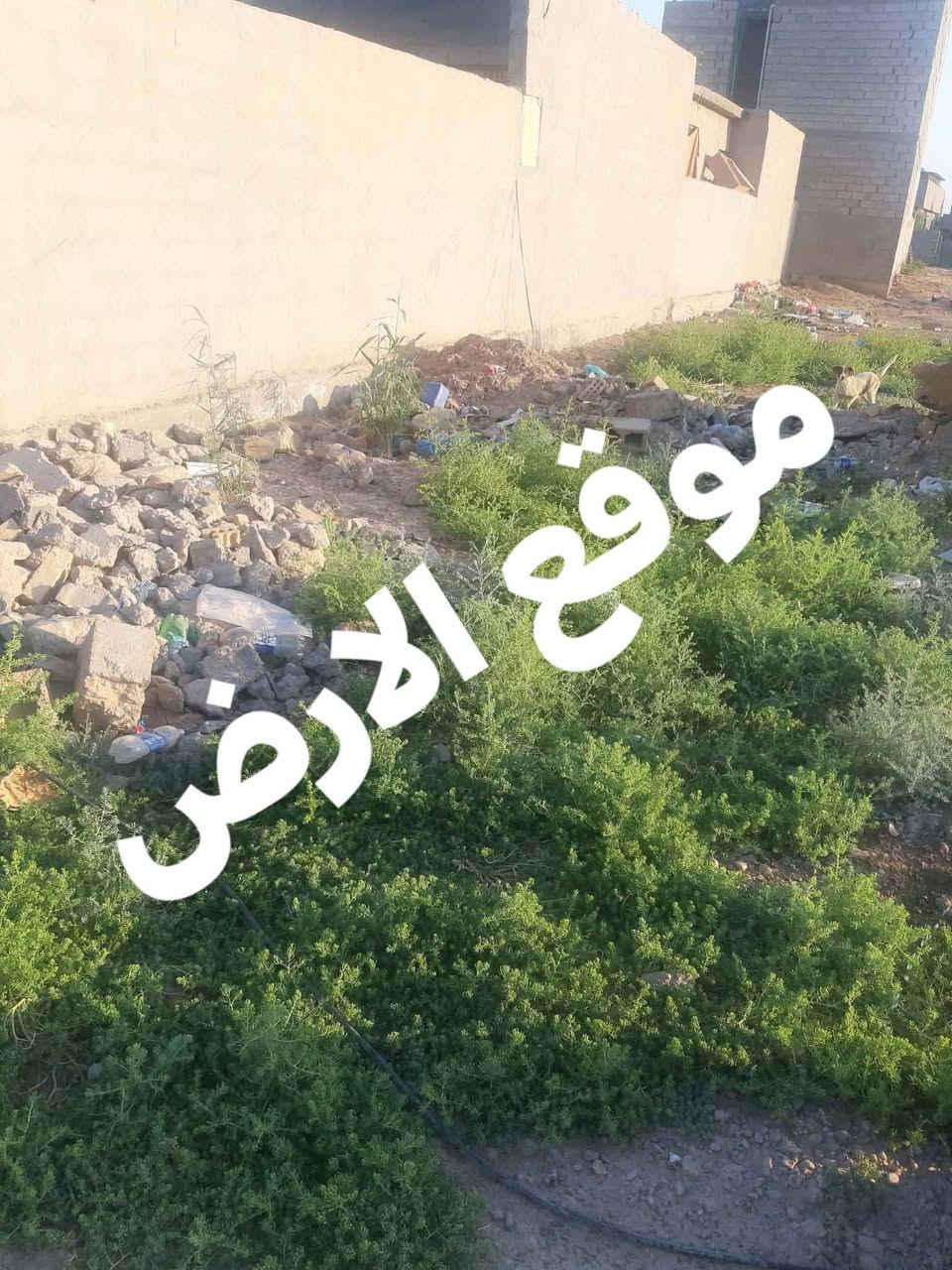 السلام عليكم
ارض للبيع بسعر مناسب
 التصنيع الشهداء خلف جامع قباء مساحة 265 متر واجهيه 9 متر ونزال 29 ونص
اني مالك الارض رقمي ***********
