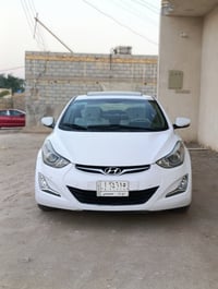 ٢٠١٦ • GLS • كشنات جلد